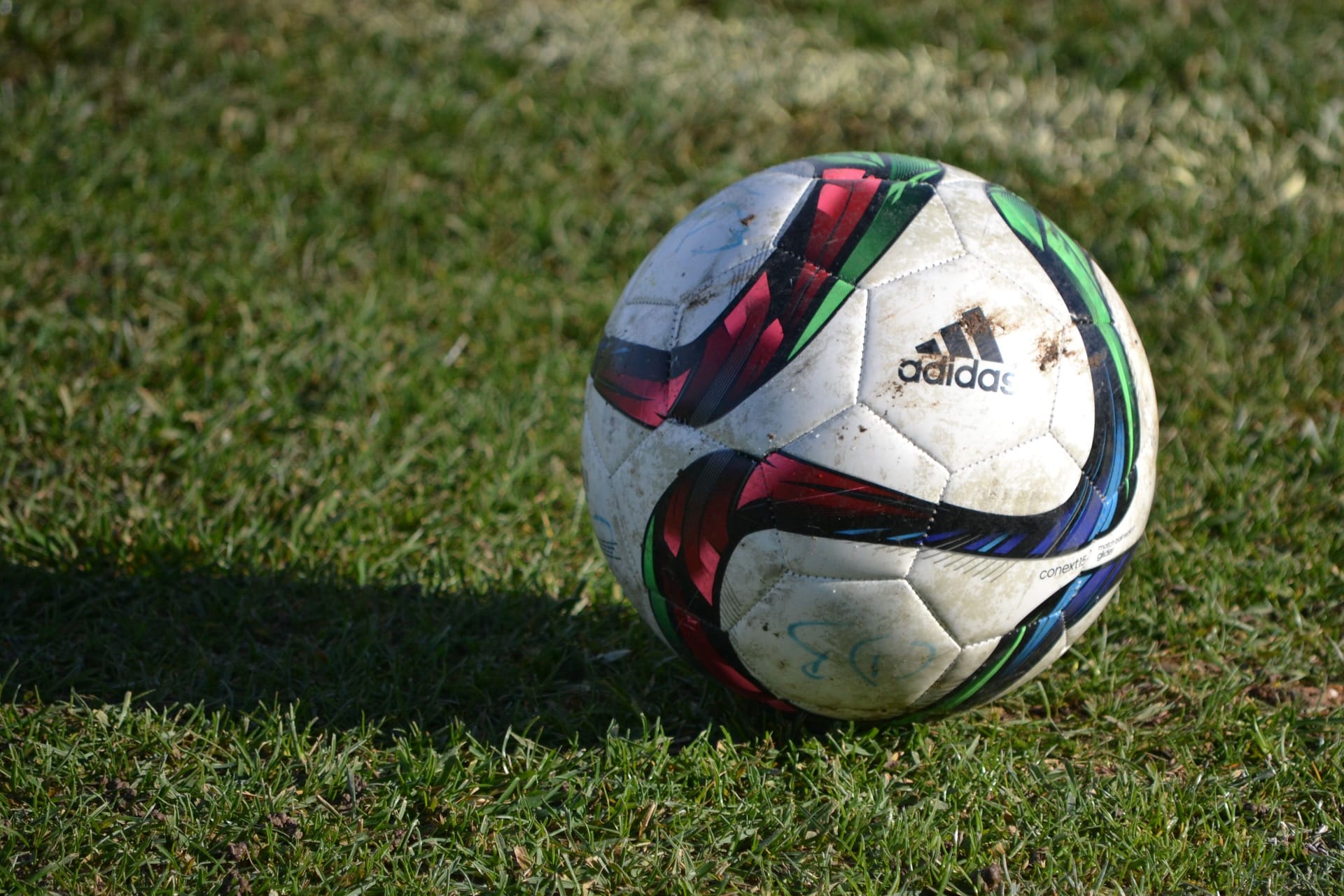 Ballon sur la pelouse